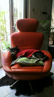 2011090806360000.jpg