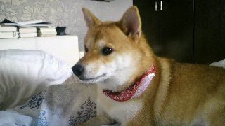 2011090807590000.jpg