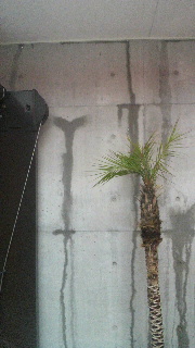2011090821160000.jpg