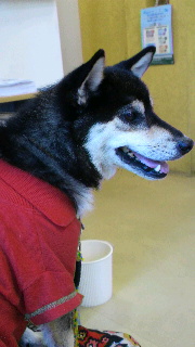 2011091011280000.jpg