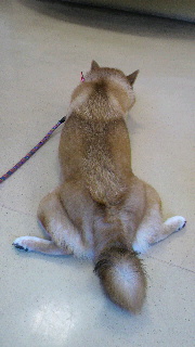 2011091011280001.jpg