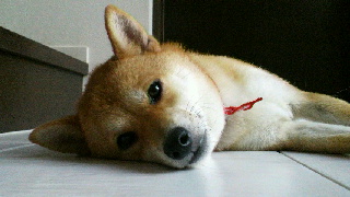 2011091406120001.jpg