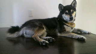 2011091406120002.jpg