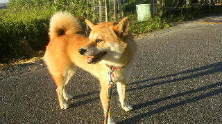 2011091506260000.jpg