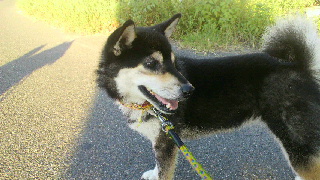 2011091506260001.jpg