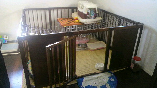 2011091506260002.jpg