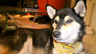 2011091606130001.jpg