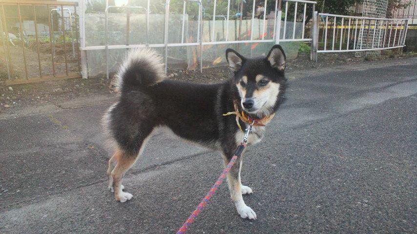 2011091806190000.jpg