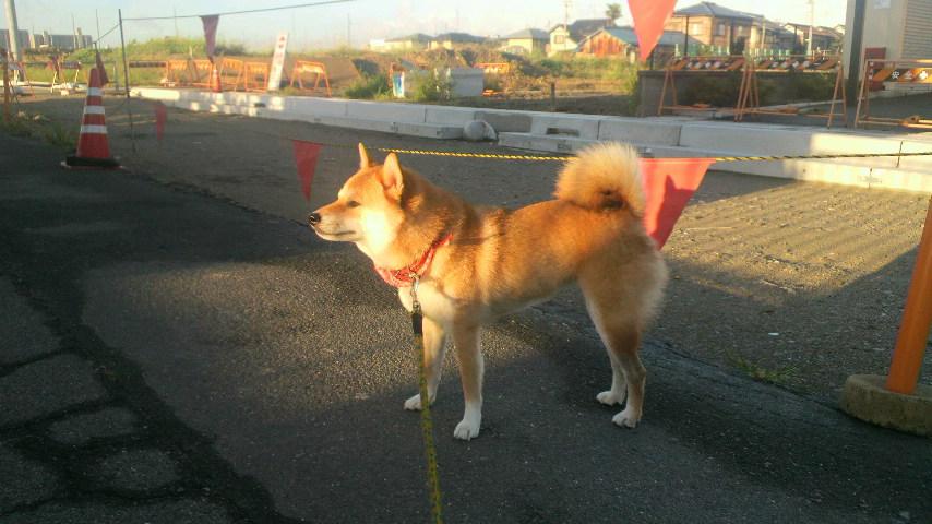 2011091806190001.jpg
