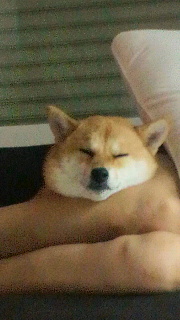 2011091819570000.jpg
