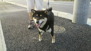 2011091820100000.jpg