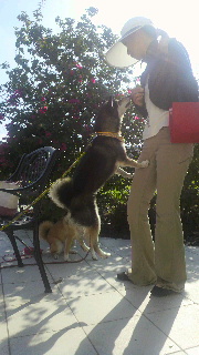 2011091911210001.jpg