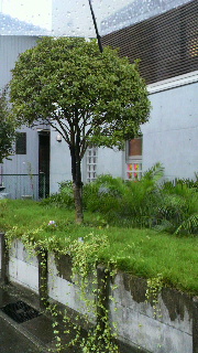 2011092009450000.jpg