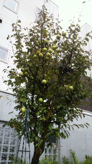 2011092009500000.jpg