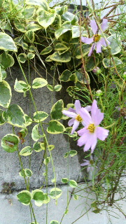 2011092009570000.jpg