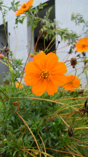 2011092009570001.jpg