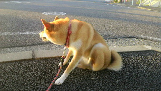 2011092010230000.jpg