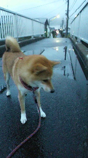 2011092017470000.jpg