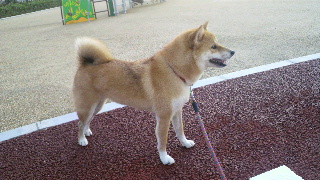 2011092121310001.jpg