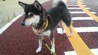 2011092121320000.jpg