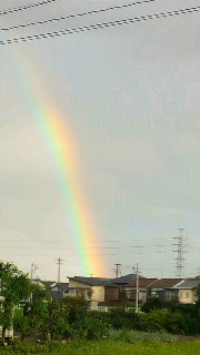 2011092206150000.jpg
