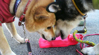 2011100214170000.jpg