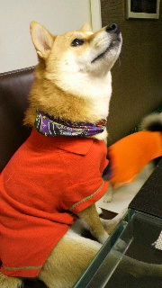 2011100320010001.jpg