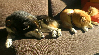 2011100912010000.jpg