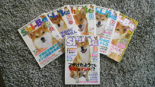 2011100918130000.jpg