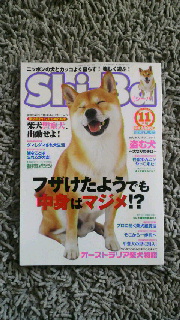 2011100918140000.jpg