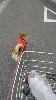 2011101306510000.jpg