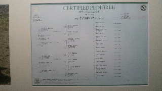 2011101509310001.jpg