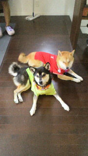 2011101607170000.jpg