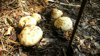 2011101616470000.jpg
