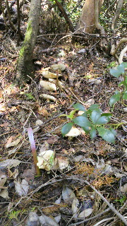2011101616480000.jpg
