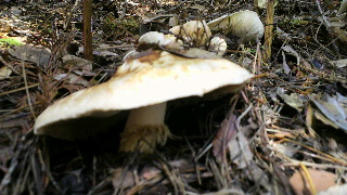 2011101616480001.jpg