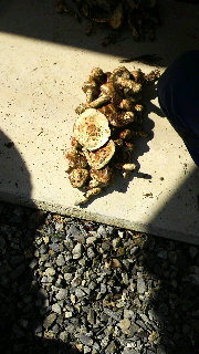 2011101616490001.jpg