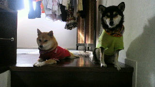 2011101716030001.jpg