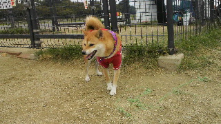 2011101716070000.jpg