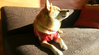 2011103007150000.jpg