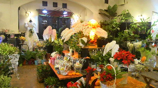 2011110112460001.jpg