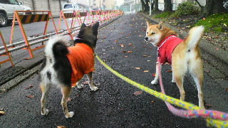 2011110112460002.jpg