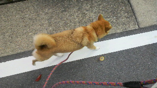 2011110313170000.jpg