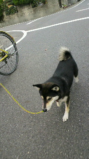 2011110313170001.jpg