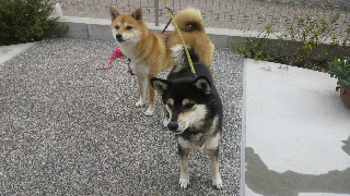 2011110313500000.jpg