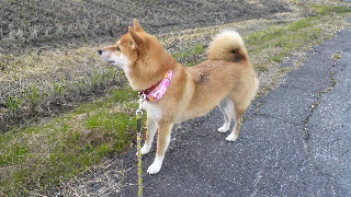 2011110405130002.jpg