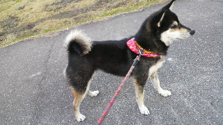 2011110405140000.jpg