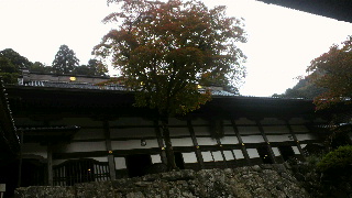 2011110510490000.jpg