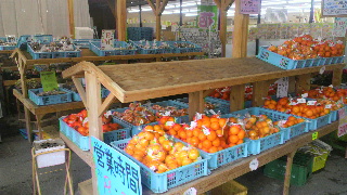 2011110609330002.jpg