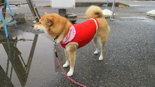 2011110610010000.jpg